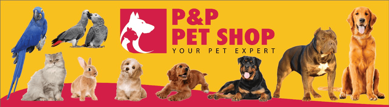 P P PET SHOP YOUR PET EXPERT